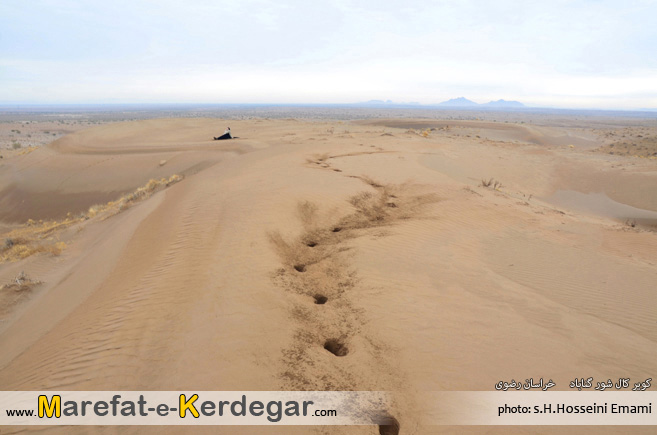 کویرگردی کویرگردی