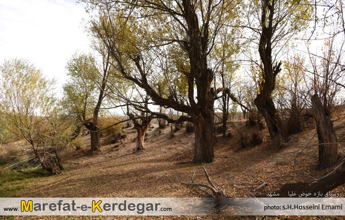 پاییز روستای بازه حوض علیا