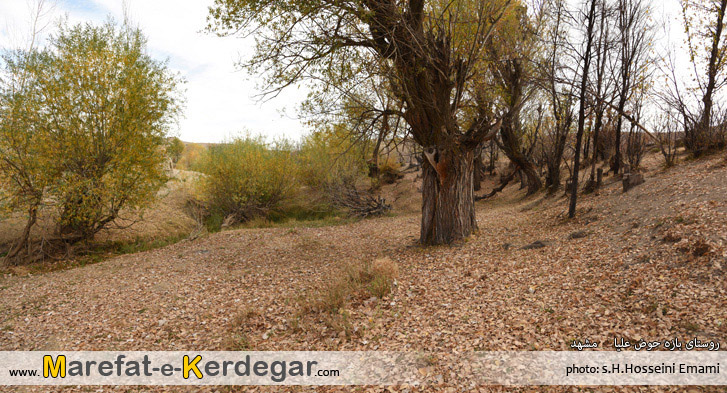 طبیعت پاییزی روستای بازه حوض