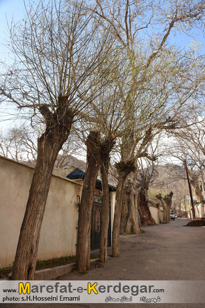 شهر توریستی شهمیرزاد