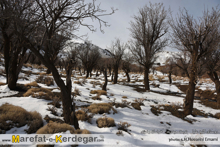 گردشگری تربت حیدریه