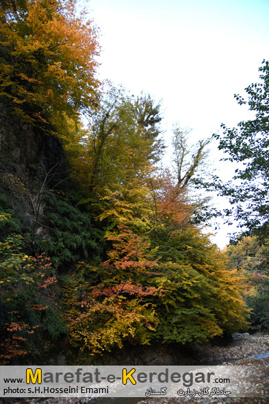 پاییز استان گلستان پاییز استان گلستان