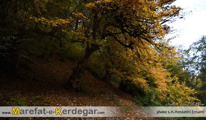 پاییز گرگان پاییز گرگان