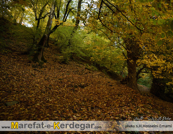 پاییز گرگان پاییز گرگان