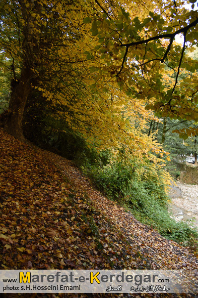 پاییز گرگان پاییز گرگان