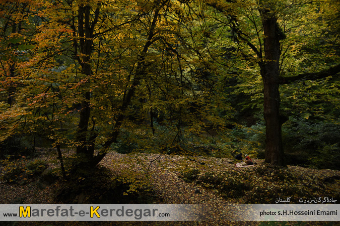 جاده های شمال جاده های شمال