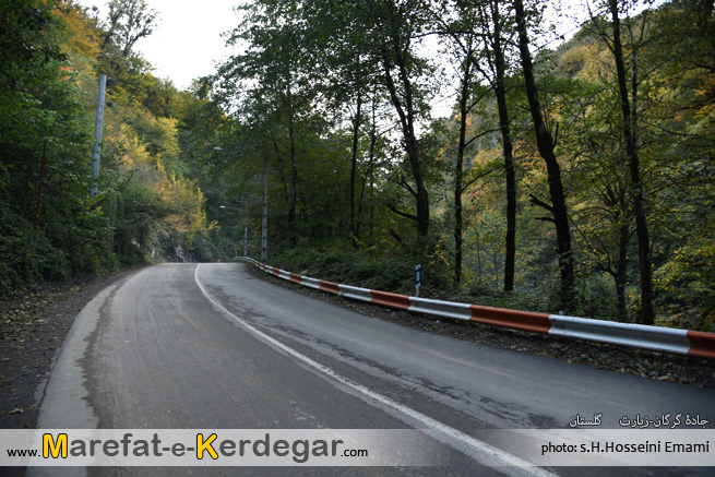 جاده جنگلی جاده جنگلی