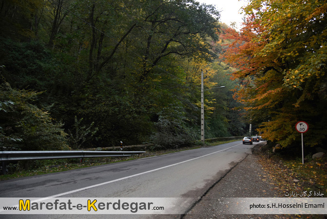 جاده جنگلی جاده جنگلی