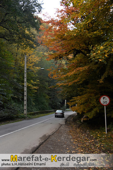 جاده جنگلی جاده جنگلی