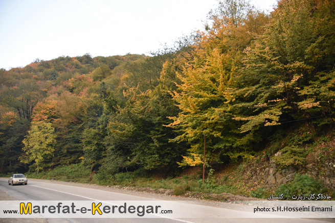 ناهارخوران ناهارخوران