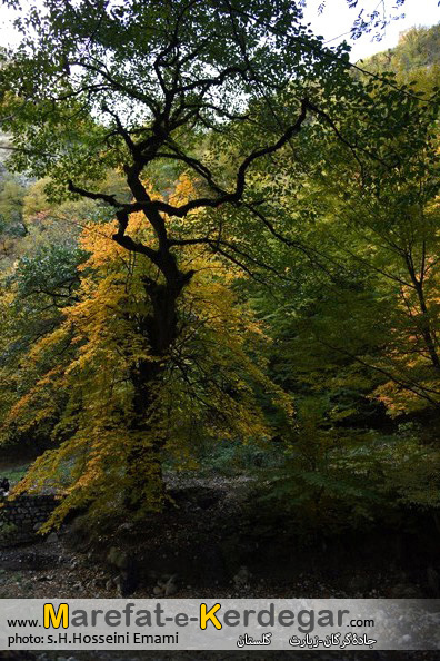 طبیعت پاییزی شمال طبیعت پاییزی شمال