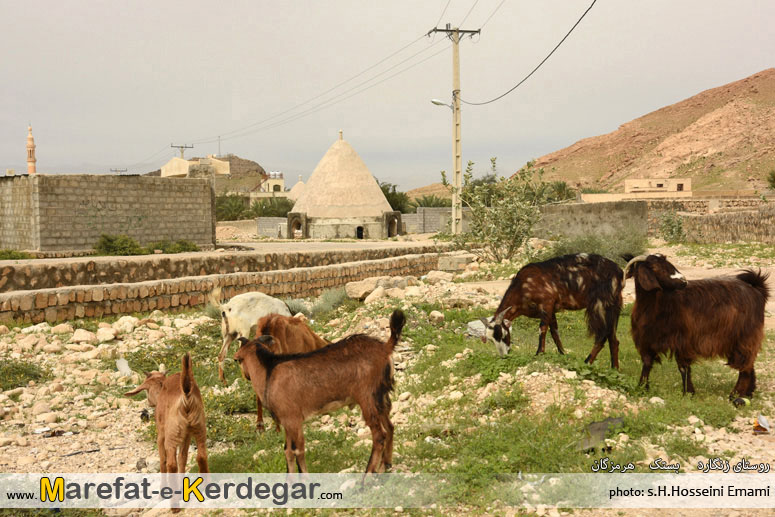 روستای زنگارد