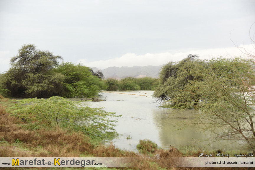 گردشگری بندر لنگه