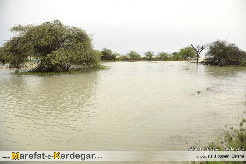 طبیعت بندر مغویه