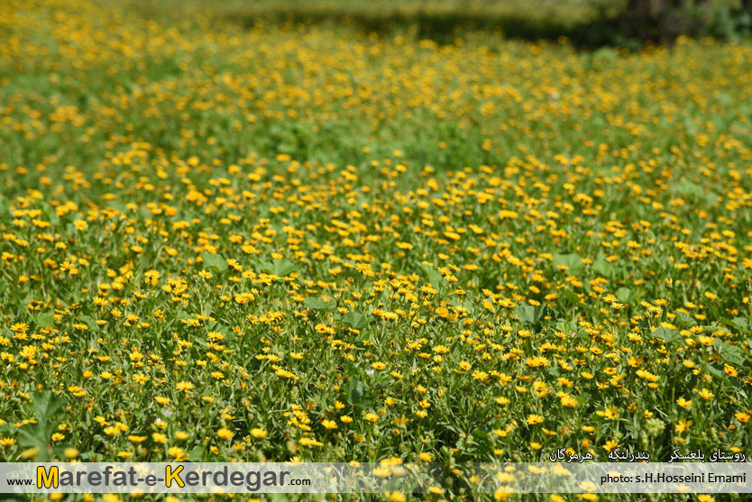 طبیعت ایران طبیعت ایران