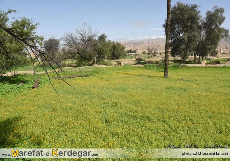 طبیعت بندرلنگه طبیعت بندرلنگه
