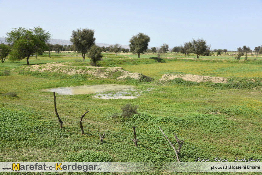 طبیعت هرمزگان طبیعت هرمزگان