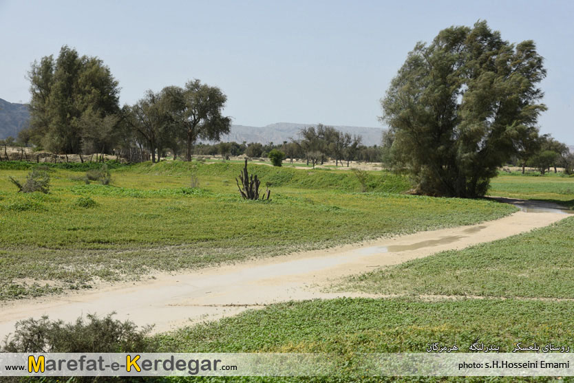 جاذبه های طبیعی هرمزگان جاذبه های طبیعی هرمزگان