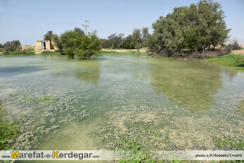 جاذبه های طبیعی بندر لنگه جاذبه های طبیعی بندر لنگه