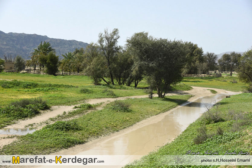 جاذبه های طبیعی بندرلنگه جاذبه های طبیعی بندرلنگه