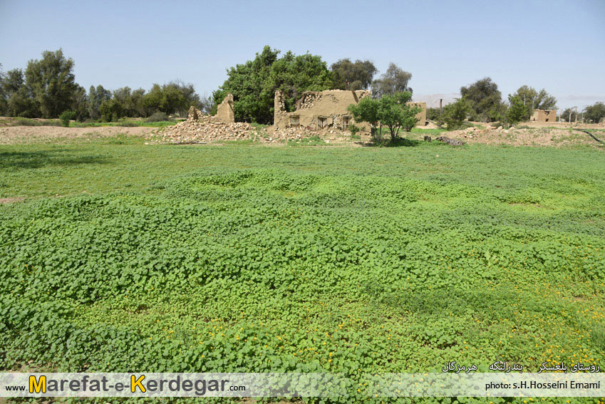 روستای بلعسکر روستای بلعسکر