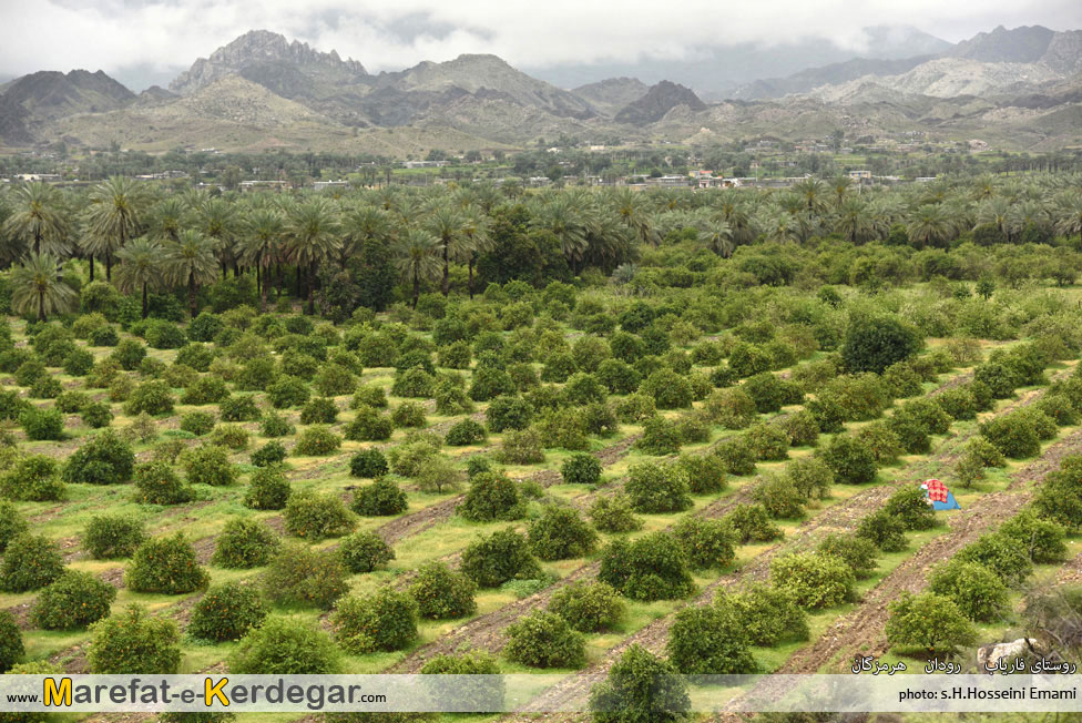 روستای فاریاب رودان