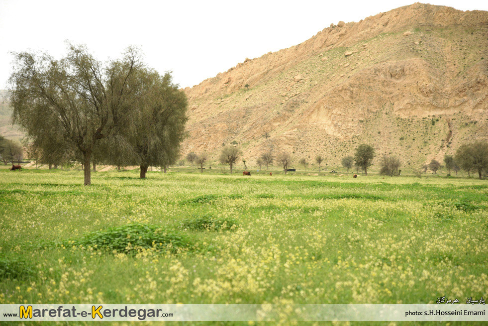 روستای کناردان روستای کناردان