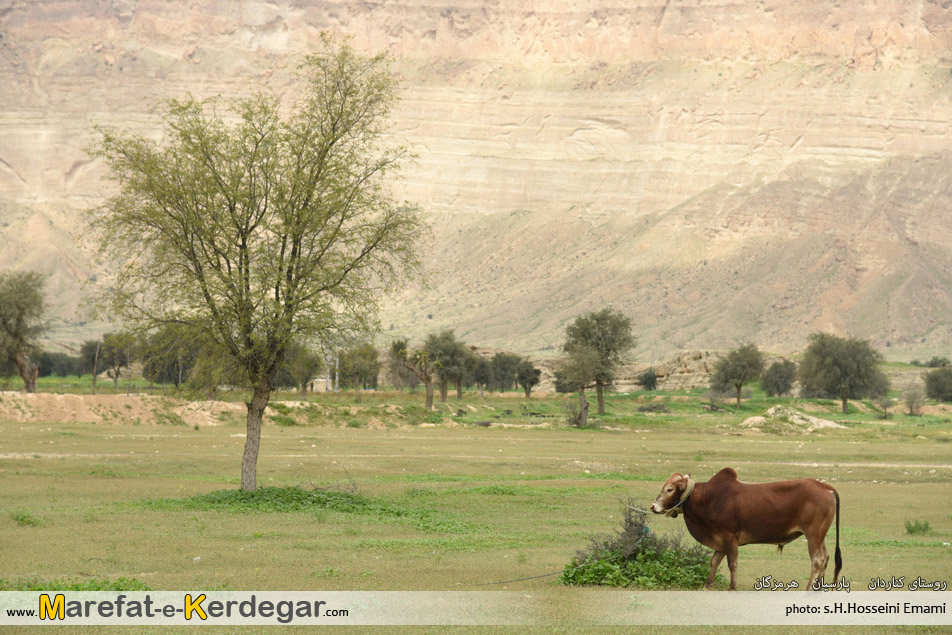 بهار ایران