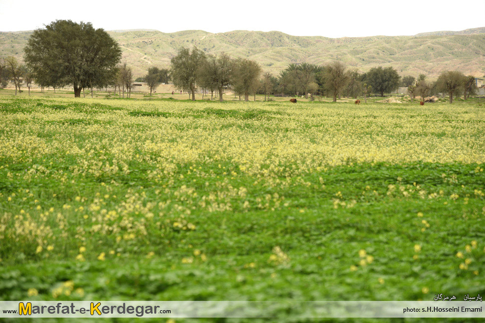 روستای کناردان روستای کناردان
