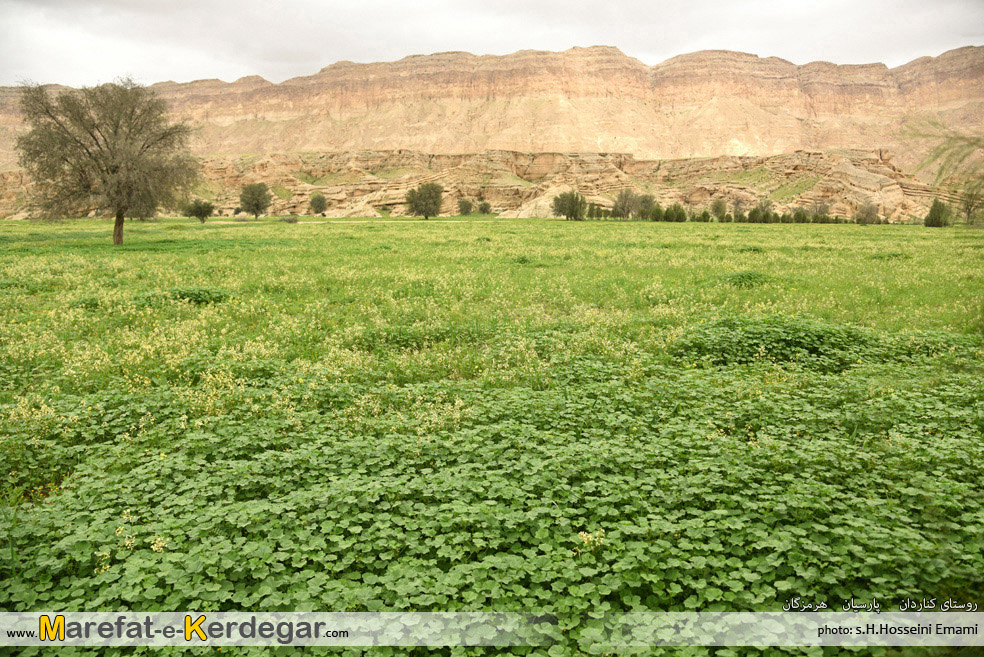 طبیعت بهاری پارسیان طبیعت بهاری پارسیان