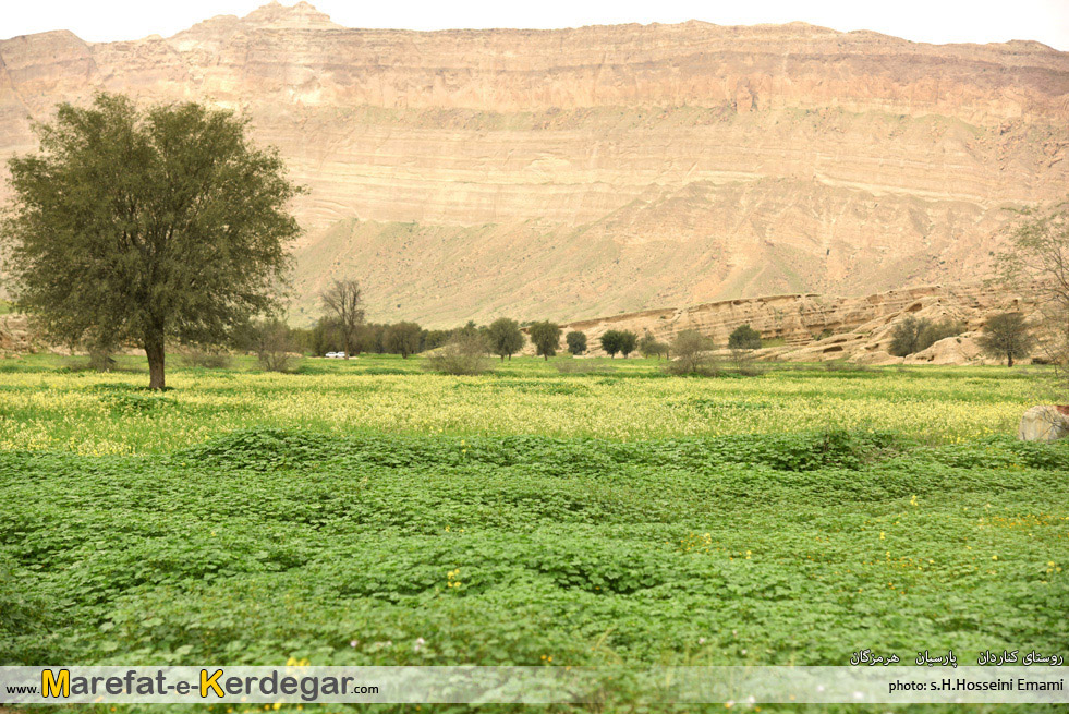 طبیعت بهاری شهرستان پارسیان طبیعت بهاری شهرستان پارسیان