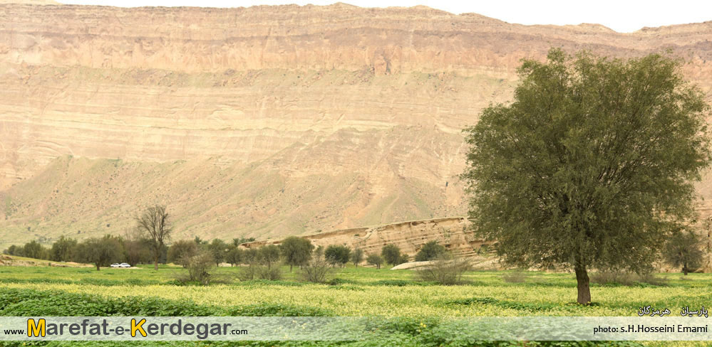 طبیعت بهاری جنوب طبیعت بهاری جنوب