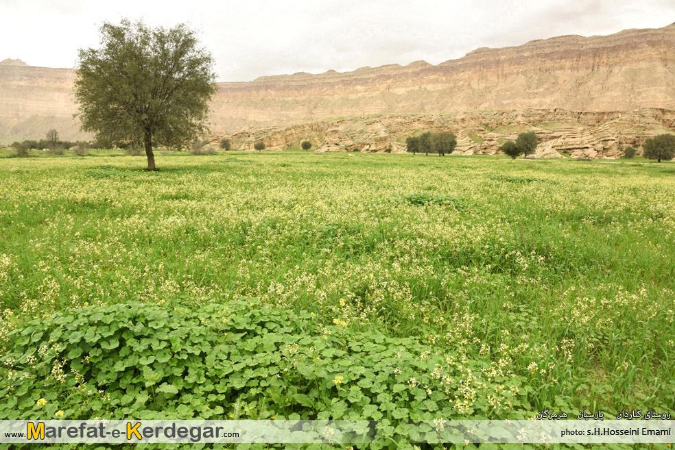 طبیعت هرمزگان طبیعت هرمزگان