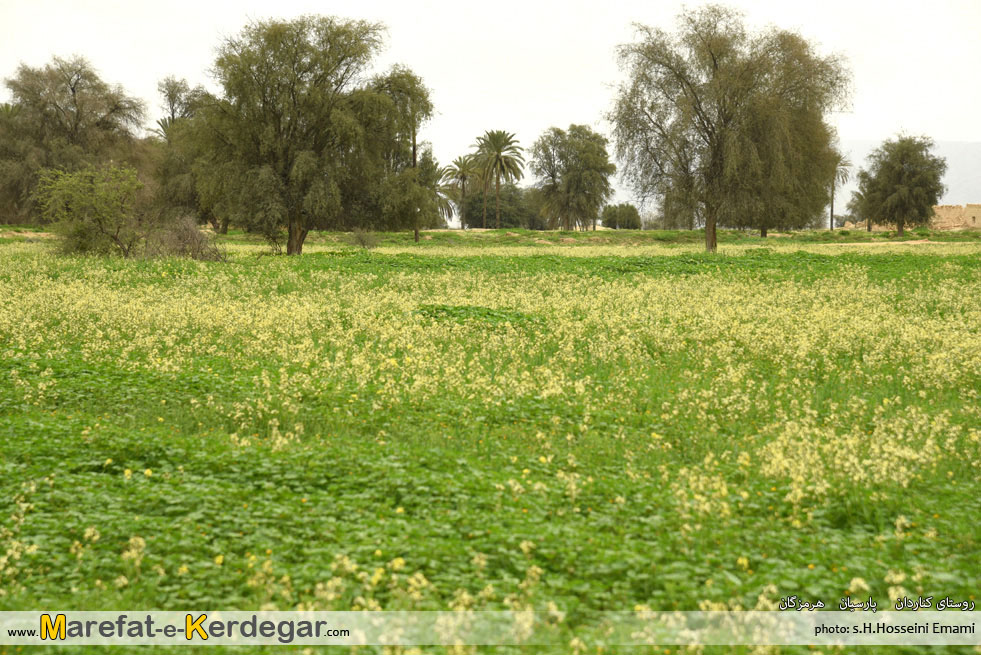 طبیعت پارسیان طبیعت پارسیان