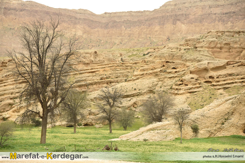 روستای کناردان