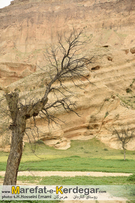 بهار هرمزگان بهار هرمزگان