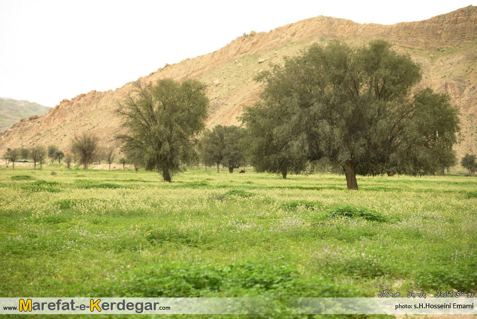 روستای کناردان روستای کناردان