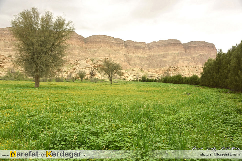 طبیعت بهاری ایران