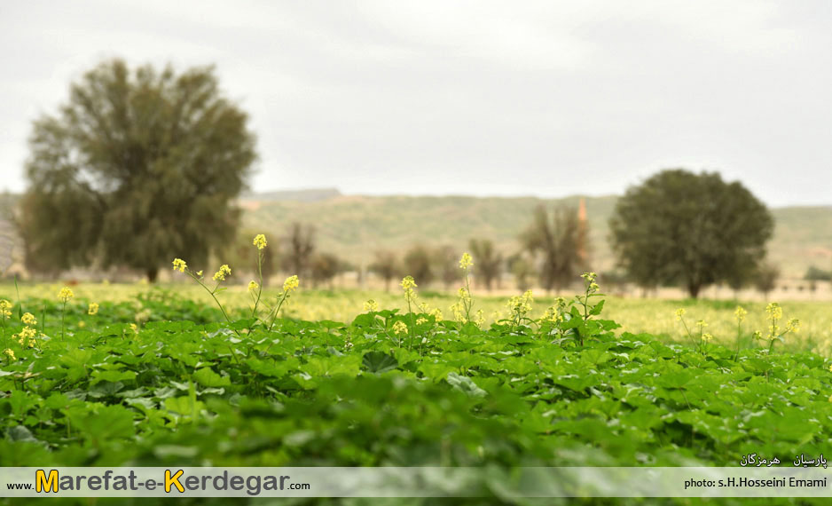 طبیعت پارسیان طبیعت پارسیان