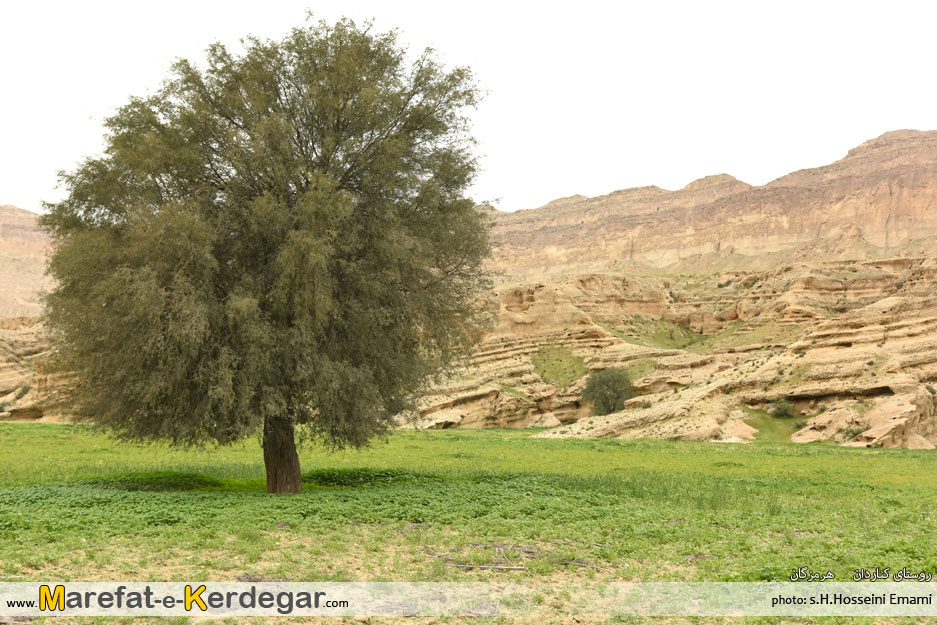 دیدنی های پارسیان دیدنی های پارسیان