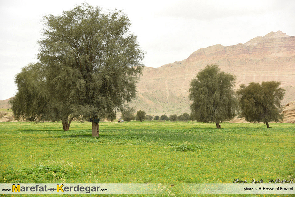 کوه های پارسیان کوه های پارسیان