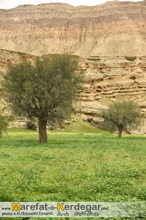 کوه های جنوب کوه های جنوب