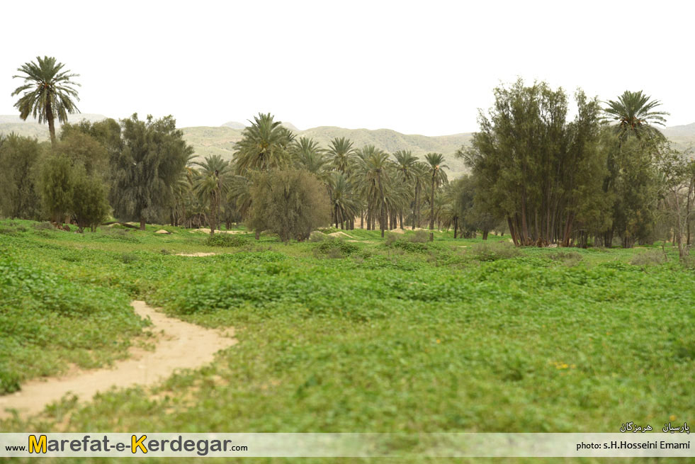 صخره های جنوب ایران صخره های جنوب ایران