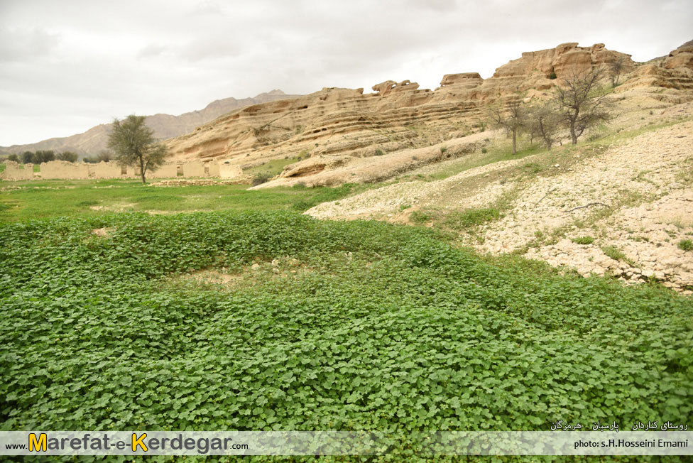 صخره های هرمزگان صخره های هرمزگان