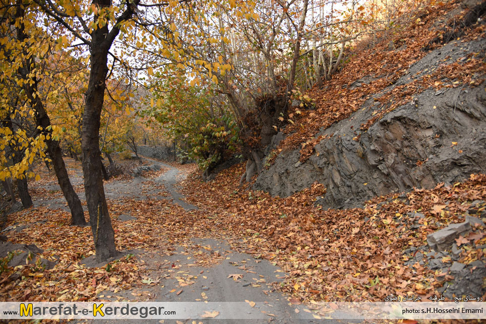 پاییز ایران پاییز ایران
