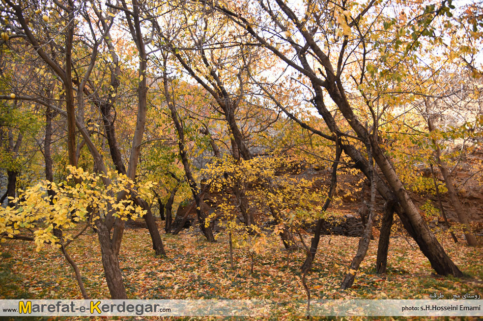 طبیعت پاییزی ایران