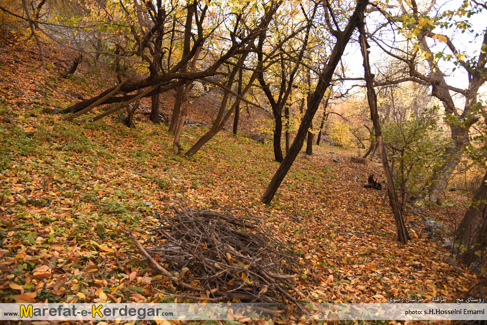 روستای مج