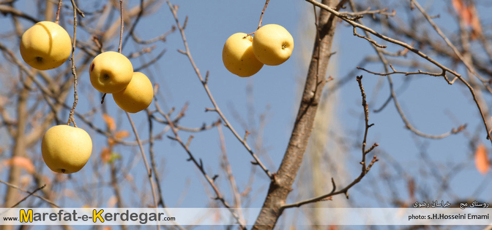  گردشگری خراسان رضوی