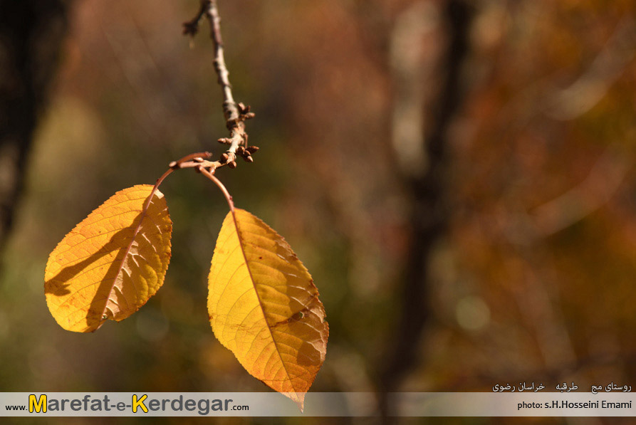 جاهای دیدنی خراسان رضوی