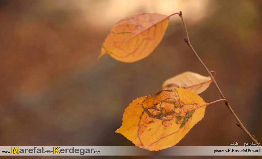جاهای دیدنی استان خراسان رضوی جاهای دیدنی استان خراسان رضوی